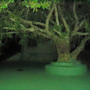 Meet your Posher, Anila